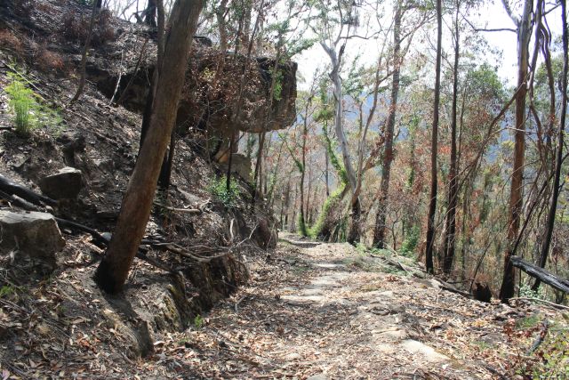 Historická cesta cez austrálske Modré vrchy (Blue Mountains), známa ako Coxs Road, bola prvou trasou, ktorú v roku 1813 vybudovali európski prisťahovalci na prekonanie tohto pohoria. Umožnila im expandovať do vnútrozemia kontinentu a naštartovala poľnohospodársky rozvoj regiónu.
